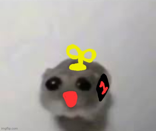 Sad mouse tiktok | image tagged in sad mouse tiktok | made w/ Imgflip meme maker