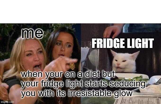 Woman Yelling At Cat | me; FRIDGE LIGHT; when your on a diet but your fridge light starts seducing you with its irresistable glow | image tagged in memes,woman yelling at cat | made w/ Imgflip meme maker