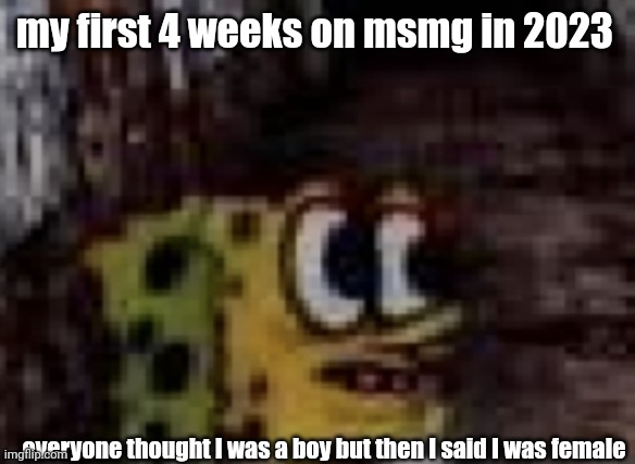 spunch bop trauma | my first 4 weeks on msmg in 2023; everyone thought I was a boy but then I said I was female | image tagged in spunch bop trauma | made w/ Imgflip meme maker