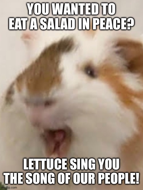 Seriously though they always know! | YOU WANTED TO EAT A SALAD IN PEACE? LETTUCE SING YOU THE SONG OF OUR PEOPLE! | image tagged in cavies,guinea pigs,for the herd,pun,bad pun | made w/ Imgflip meme maker