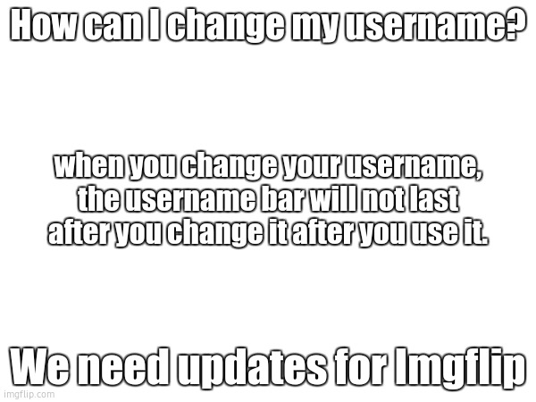 hi everyone we need to have an update | How can I change my username? when you change your username, the username bar will not last after you change it after you use it. We need updates for Imgflip | image tagged in imgflip | made w/ Imgflip meme maker