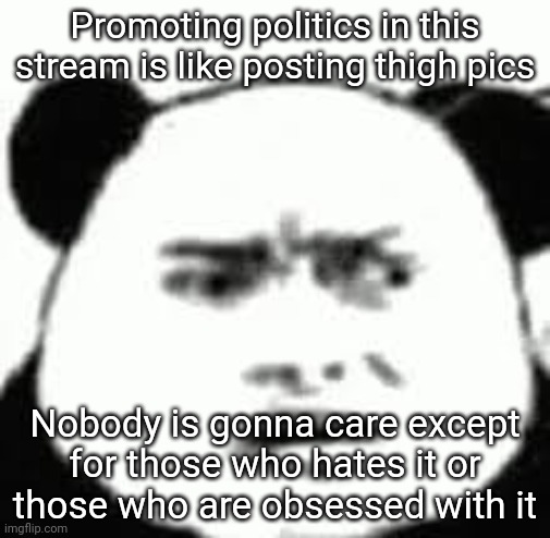 Confused chinese bear | Promoting politics in this stream is like posting thigh pics; Nobody is gonna care except for those who hates it or those who are obsessed with it | image tagged in confused chinese bear | made w/ Imgflip meme maker