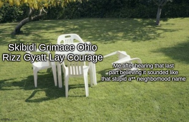 wtf? | Skibidi Grimace Ohio Rizz Gyatt Lay Courage; Me after hearing that last part believing it sounded like that stupid a** neighborhood name | image tagged in memes,we will rebuild | made w/ Imgflip meme maker