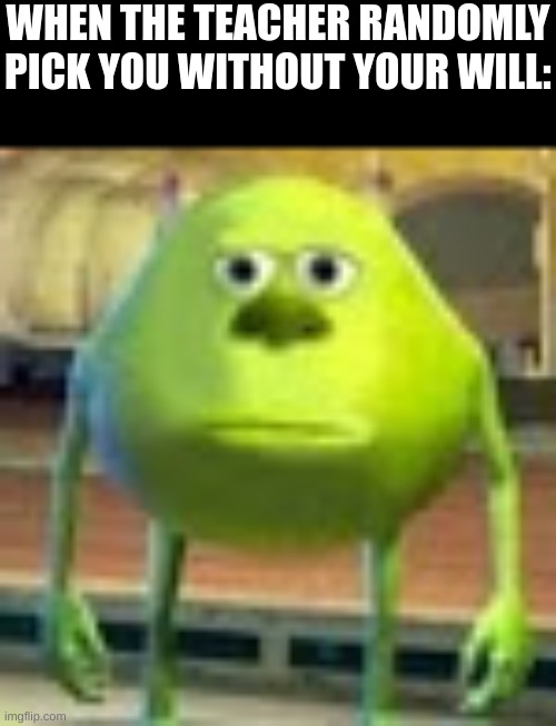 IM NOT READY | WHEN THE TEACHER RANDOMLY
PICK YOU WITHOUT YOUR WILL: | image tagged in sully wazowski | made w/ Imgflip meme maker
