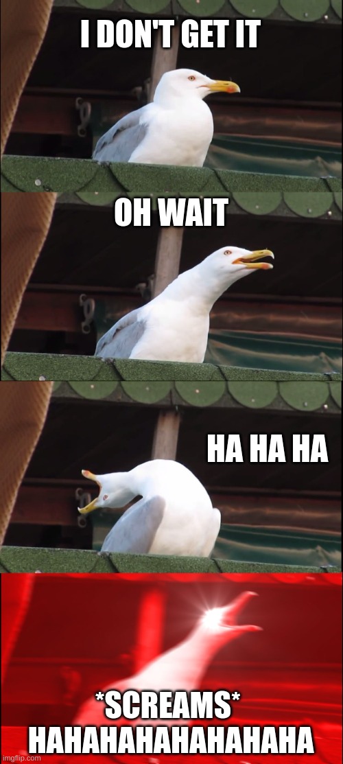 Inhaling Seagull Meme | I DON'T GET IT; OH WAIT; HA HA HA; *SCREAMS* 
HAHAHAHAHAHAHAHA | image tagged in memes,inhaling seagull | made w/ Imgflip meme maker