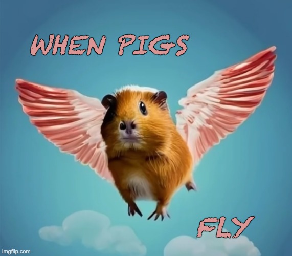 Well, that'll be . . . | WHEN PIGS; FLY | image tagged in flying guinea pig,guinea pig,superpowers | made w/ Imgflip meme maker