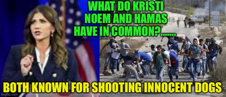 Gov. Noam shoots a dog. Hamas shoots men, woman, children, and dogs. Who gets more media coverage. | WHAT DO KRISTI NOEM AND HAMAS HAVE IN COMMON?……. BOTH KNOWN FOR SHOOTING INNOCENT DOGS | image tagged in gifs,fake news,islamic terrorism,dogs,anti-semitism | made w/ Imgflip meme maker