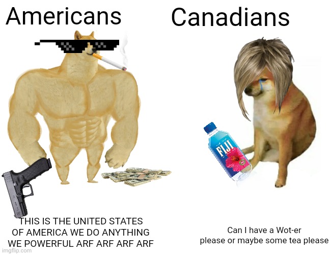 Buff Doge vs. Cheems | Americans; Canadians; THIS IS THE UNITED STATES OF AMERICA WE DO ANYTHING WE POWERFUL ARF ARF ARF ARF; Can I have a Wot-er please or maybe some tea please | image tagged in memes,buff doge vs cheems | made w/ Imgflip meme maker
