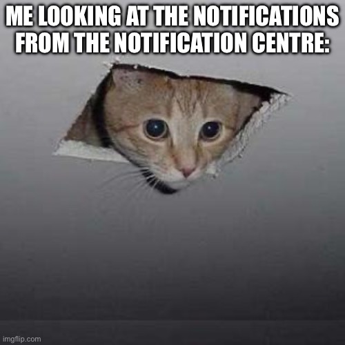 Ceiling Cat | ME LOOKING AT THE NOTIFICATIONS FROM THE NOTIFICATION CENTRE: | image tagged in memes,ceiling cat | made w/ Imgflip meme maker