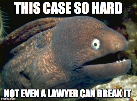 Bad Joke Eel Meme | THIS CASE SO HARD NOT EVEN A LAWYER CAN BREAK IT | image tagged in memes,bad joke eel | made w/ Imgflip meme maker