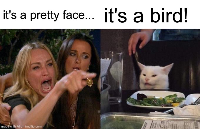 Woman Yelling At Cat Meme | it's a pretty face... it's a bird! | image tagged in memes,woman yelling at cat | made w/ Imgflip meme maker