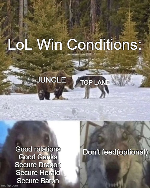 league win conditions | LoL Win Conditions:; TOP LANE; JUNGLE; Don't feed(optional); Good rotations
Good Ganks
Secure Dragon
Secure Herald
Secure Baron | image tagged in bear vs wolf | made w/ Imgflip meme maker