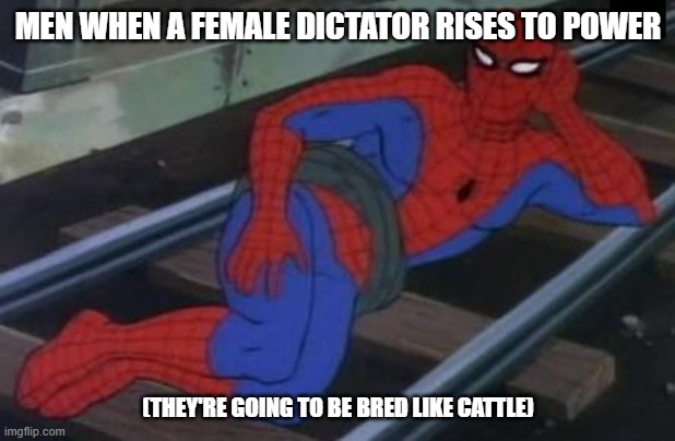 Sexy Railroad Spiderman Meme | MEN WHEN A FEMALE DICTATOR RISES TO POWER (THEY'RE GOING TO BE BRED LIKE CATTLE) | image tagged in memes,sexy railroad spiderman,spiderman | made w/ Imgflip meme maker