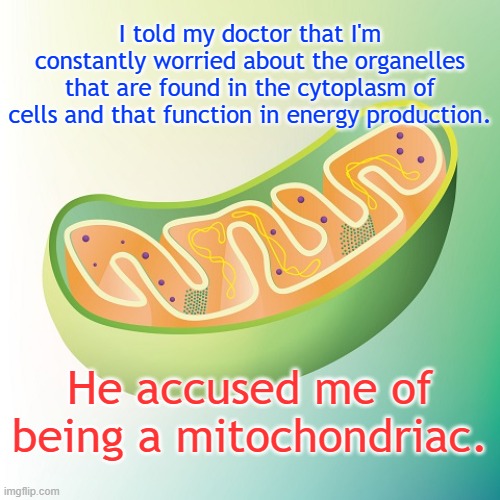 Mitochondriac | I told my doctor that I'm constantly worried about the organelles that are found in the cytoplasm of cells and that function in energy production. He accused me of being a mitochondriac. | image tagged in mitochondria is the powerhouse of the cell | made w/ Imgflip meme maker