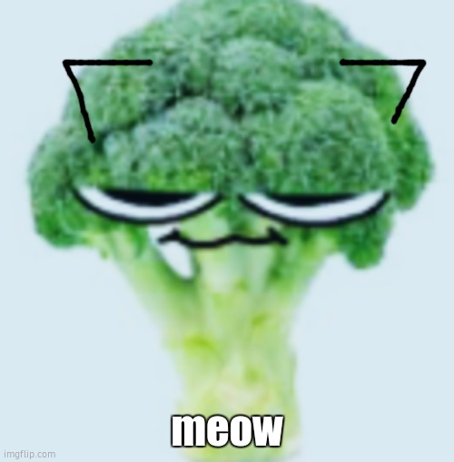 meow | meow | image tagged in broccoli,meow | made w/ Imgflip meme maker
