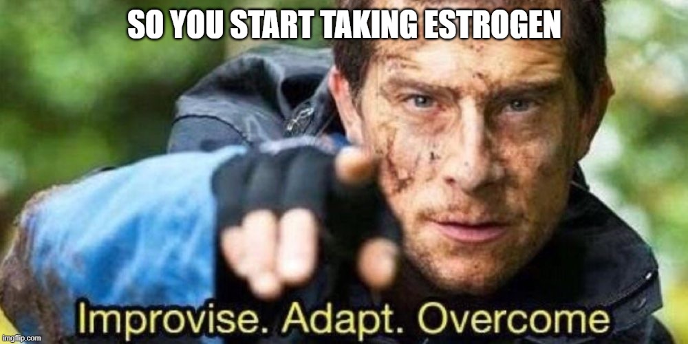 Improvise. Adapt. Overcome | SO YOU START TAKING ESTROGEN | image tagged in improvise adapt overcome | made w/ Imgflip meme maker