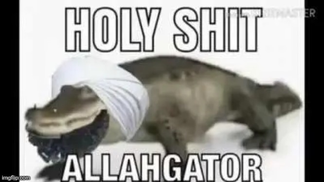 Ali-gator | made w/ Imgflip meme maker