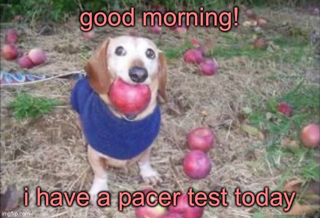 im prolly gonna get a high score cuz most kids in my grade are so fat like their only exercise is choking their chicken | good morning! i have a pacer test today | image tagged in this dock | made w/ Imgflip meme maker