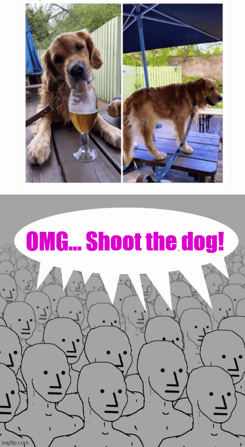 Yes... it's ridiculous... But so are they... | OMG... Shoot the dog! | image tagged in npc,hypocrites | made w/ Imgflip meme maker