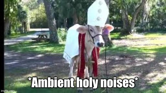 Holy cow | *Ambient holy noises* | image tagged in holy cow | made w/ Imgflip meme maker
