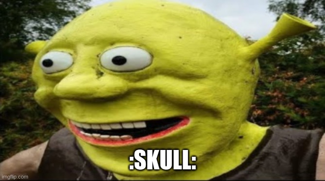 shrek nah bro | :SKULL: | image tagged in shrek nah bro | made w/ Imgflip meme maker