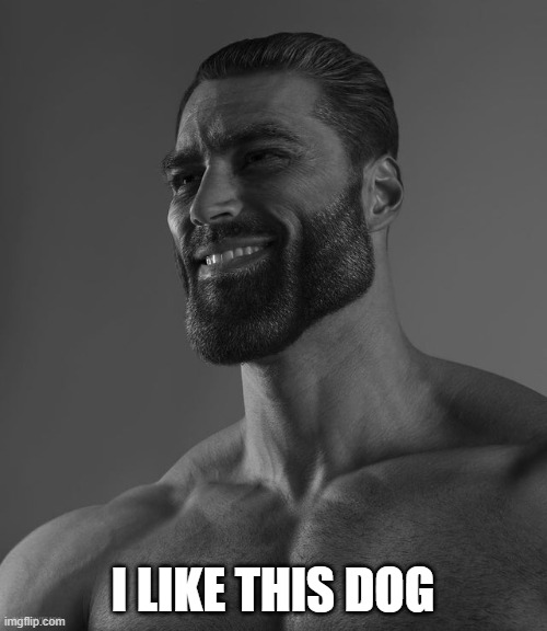 Giga Chad | I LIKE THIS DOG | image tagged in giga chad | made w/ Imgflip meme maker