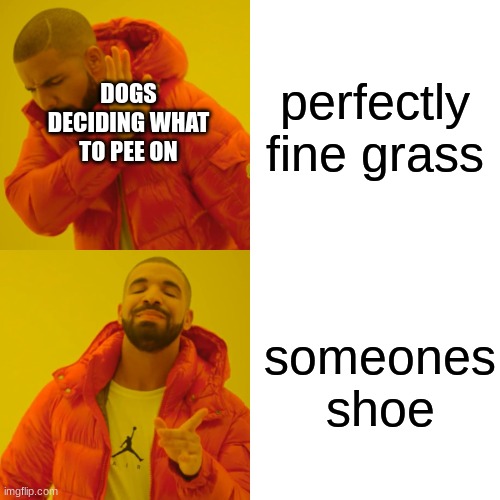 he | perfectly fine grass; DOGS DECIDING WHAT TO PEE ON; someones shoe | image tagged in memes,drake hotline bling | made w/ Imgflip meme maker