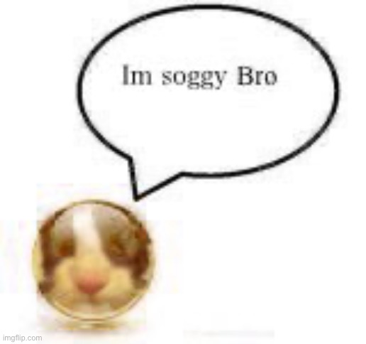 im soggy bro ball | image tagged in im soggy bro ball | made w/ Imgflip meme maker