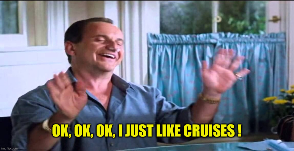 Joe Pesci lethal weapon ok ok ok | OK, OK, OK, I JUST LIKE CRUISES ! | image tagged in joe pesci lethal weapon ok ok ok | made w/ Imgflip meme maker