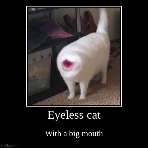 Eyeless cat | With a big mouth | image tagged in funny,demotivationals | made w/ Imgflip demotivational maker