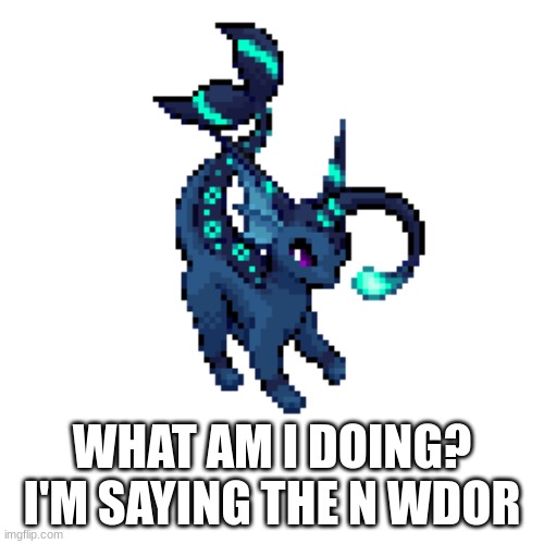 NOOOOOOOOOOOOOOOOO | WHAT AM I DOING? I'M SAYING THE N WDOR | made w/ Imgflip meme maker