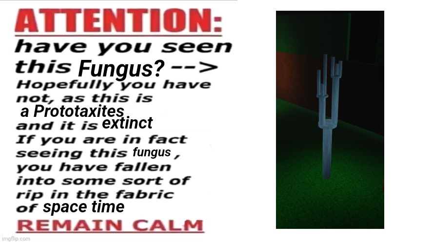 t | Fungus? a Prototaxites; extinct; fungus; space time | image tagged in have you seen this blank,rfg,roblox | made w/ Imgflip meme maker