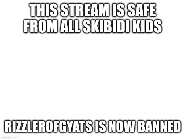 THIS STREAM IS SAFE FROM ALL SKIBIDI KIDS; RIZZLEROFGYATS IS NOW BANNED | made w/ Imgflip meme maker
