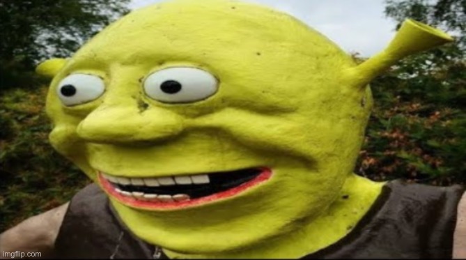 shrek nah bro | image tagged in shrek nah bro | made w/ Imgflip meme maker