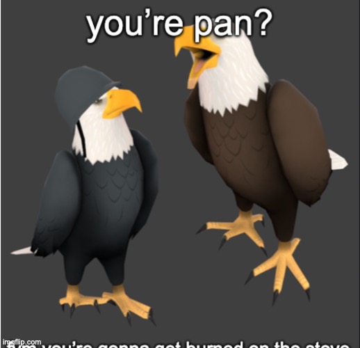 pan joke | image tagged in pan joke | made w/ Imgflip meme maker