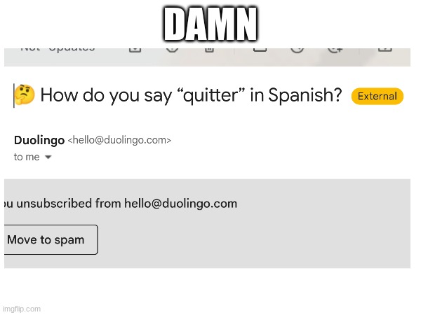 damn duolingo | DAMN | image tagged in duolingo,roasted | made w/ Imgflip meme maker
