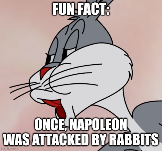 Attacked by rabbits | FUN FACT:; ONCE, NAPOLEON WAS ATTACKED BY RABBITS | image tagged in bugs bunny no,napoleon | made w/ Imgflip meme maker