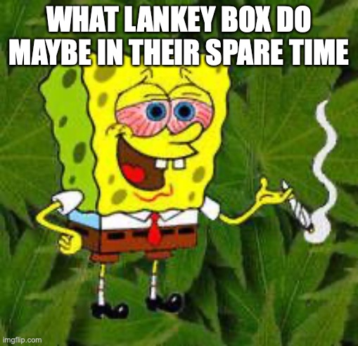 lankey box smokes weed, that is the reason why they act like toddlers | WHAT LANKEY BOX DO MAYBE IN THEIR SPARE TIME | image tagged in weed | made w/ Imgflip meme maker