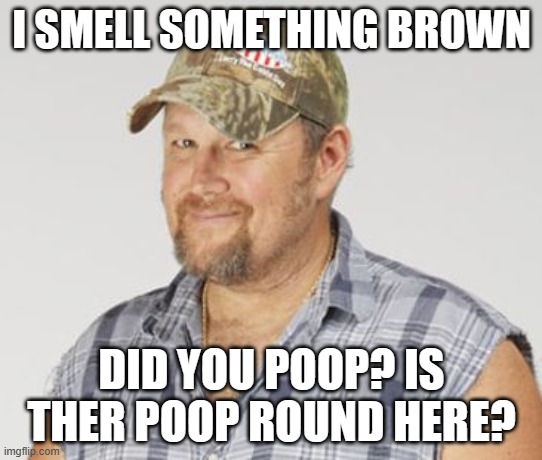 Larry The Cable Guy | I SMELL SOMETHING BROWN; DID YOU POOP? IS THER POOP ROUND HERE? | image tagged in memes,larry the cable guy,poop,poo,brown,stinky | made w/ Imgflip meme maker