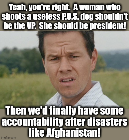 Accountability to some foreheads! | Yeah, you're right.  A woman who
shoots a useless P.O.S. dog shouldn't
be the VP.  She should be president! Then we'd finally have some
accountability after disasters
like Afghanistan! | image tagged in mark wahlberg confused,memes,kristi noem,dog,accountability,afghanistan | made w/ Imgflip meme maker
