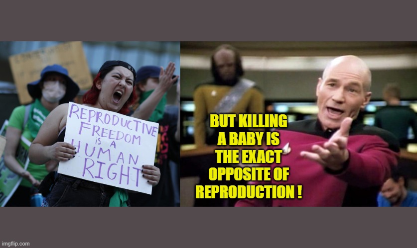 If they really cared about reproduction and human rights... wouldn't they be pro-life? | BUT KILLING A BABY IS THE EXACT OPPOSITE OF REPRODUCTION ! | image tagged in abortion is murder,pro life,picard wtf,liberal logic | made w/ Imgflip meme maker