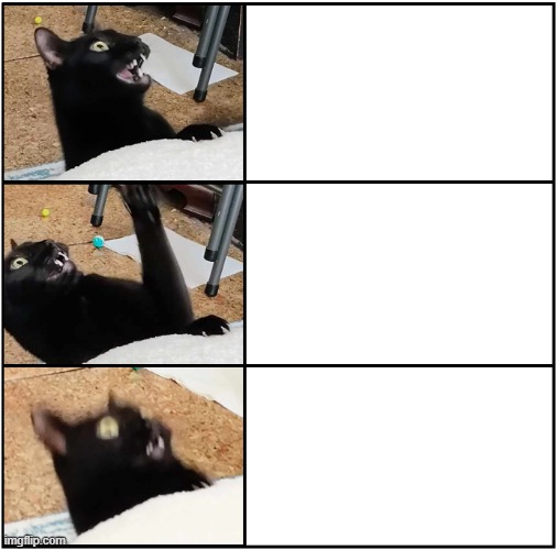 Void cat reaction | image tagged in reactions | made w/ Imgflip meme maker