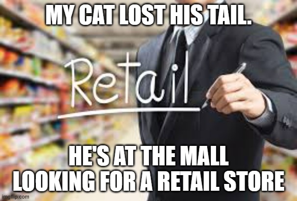 memes by Brad - My cat went to the retail store - humor | MY CAT LOST HIS TAIL. HE'S AT THE MALL LOOKING FOR A RETAIL STORE | image tagged in funny,cats,funny cat memes,kittens,humor | made w/ Imgflip meme maker