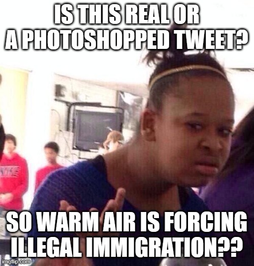 Black Girl Wat Meme | IS THIS REAL OR A PHOTOSHOPPED TWEET? SO WARM AIR IS FORCING ILLEGAL IMMIGRATION?? | image tagged in memes,black girl wat | made w/ Imgflip meme maker