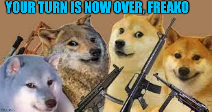 firing squad | YOUR TURN IS NOW OVER, FREAKO | image tagged in firing squad | made w/ Imgflip meme maker