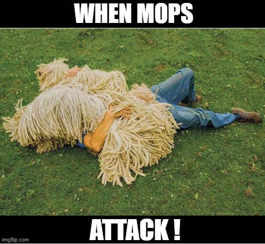 Puli Dogs Attack | WHEN MOPS; ATTACK ! | image tagged in dogs,puli,mops,attack | made w/ Imgflip meme maker