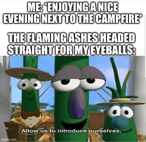 Allow us to introduce ourselves | ME: *ENJOYING A NICE EVENING NEXT TO THE CAMPFIRE*; THE FLAMING ASHES HEADED STRAIGHT FOR MY EYEBALLS: | image tagged in allow us to introduce ourselves | made w/ Imgflip meme maker
