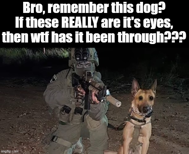 The dog of the hell award goes to... | Bro, remember this dog?
If these REALLY are it's eyes, then wtf has it been through??? | image tagged in dogs,funny,hell | made w/ Imgflip meme maker