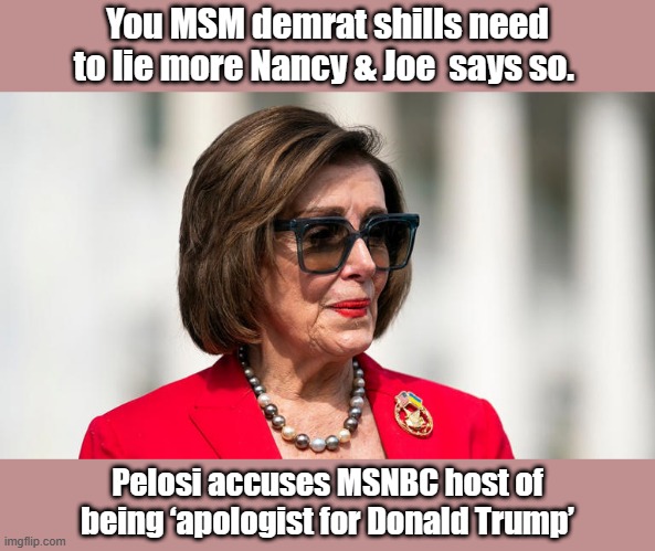 You MSM demrat shills need to lie more Nancy & Joe  says so. Pelosi accuses MSNBC host of being ‘apologist for Donald Trump’ | made w/ Imgflip meme maker