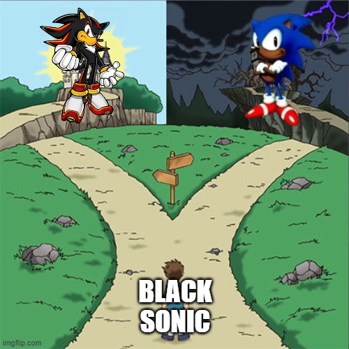 Black sonic | BLACK SONIC | image tagged in two paths | made w/ Imgflip meme maker